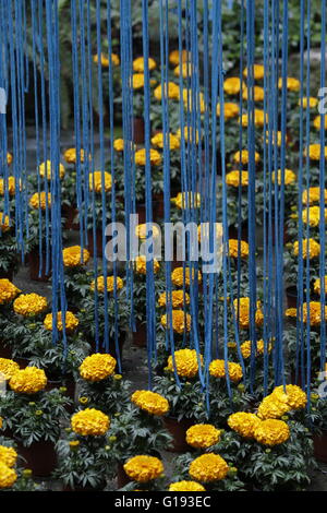 Girona Blumenfest 2016, Temps de Flors, Katalonien, Spanien Stockfoto