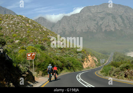 Die R44 Autobahn WESTERN CAPE Südafrika Radfahrer Reiten auf der malerischen R44 Autobahn und Whale-watching Route. Stockfoto