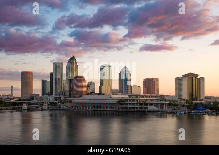 Kurz vor der Dämmerung über der Skyline von Tampa, Florida, USA Stockfoto