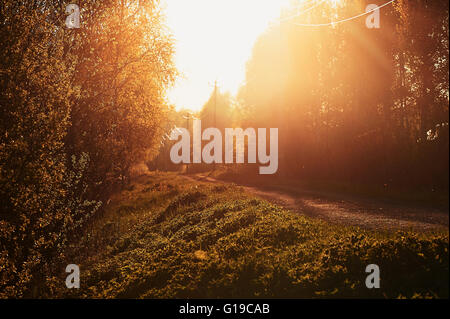 Retro-Bild der Straße bei Sonnenuntergang. Stockfoto
