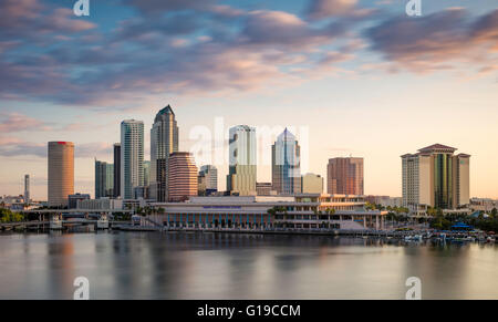 Morgendämmerung über der Skyline von Tampa, Florida, USA Stockfoto