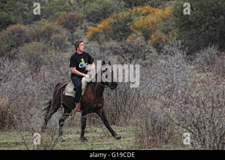 Gaucho mit Pferden auf der Estancia Los Potreros, Provinz Córdoba, Argentinien. Stockfoto