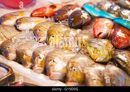 Verschiedene Arten von Fischen zum Verkauf am Fischmarkt Stockfoto