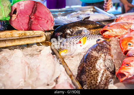 Verschiedene Arten von Fischen zum Verkauf am Fischmarkt in Asien Stockfoto