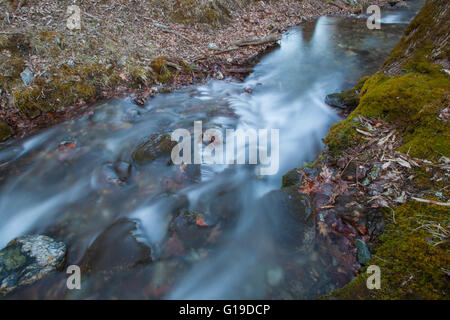 Lulu Brook in den Berkshire Mountains von westlichen Massachusetts. Stockfoto