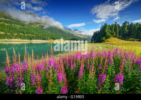 Erstaunliche sonniger Tag am Champferersee See in den Schweizer Alpen. Silvaplana-Dorf, Schweiz, Europa. Stockfoto