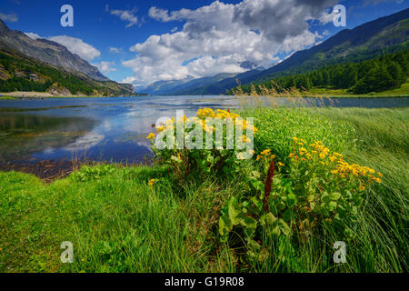 Erstaunliche sonniger Tag am Champferersee See in den Schweizer Alpen. Silvaplana-Dorf, Schweiz, Europa. Stockfoto