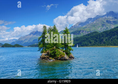 Erstaunliche Sonnentag am Silsersee See in den Schweizer Alpen. Segl, Schweiz, Europa. Stockfoto