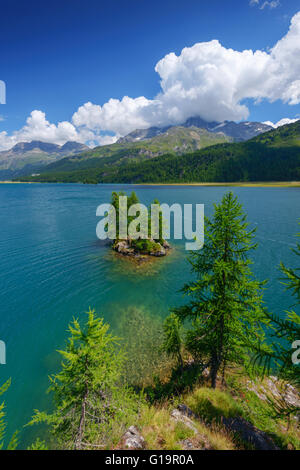 Erstaunliche Sonnentag am Silsersee See in den Schweizer Alpen. Segl, Schweiz, Europa. Stockfoto
