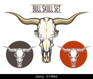 Satz von Bull Schädel Tattoo Stil und zwei Logos angesaugt. Isoliert auf weiss. Stock Vektor