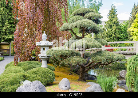 Kasugai japanischer Garten, Kelowna, British Columbia, Kanada Stockfoto