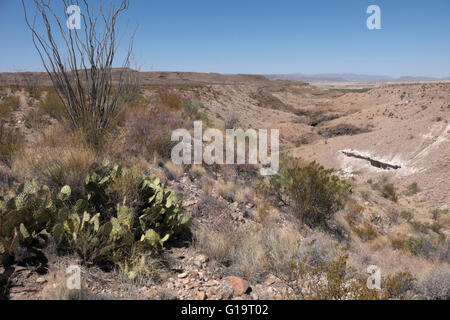 Ein Arroyo oder trockenen Bachbett, das durch den Big Bend National Park in Richtung Rio Grande River ausgeführt wird. Stockfoto