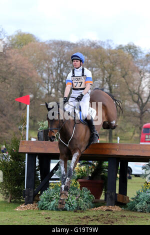 Francis Whittington (Großbritannien) auf übereilte Imp Reiten Cross Country auf der Belton International Horse Trials 2016 Stockfoto