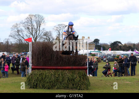 Francis Whittington (Großbritannien) auf übereilte Imp Reiten Cross Country auf der Belton International Horse Trials 2016 Stockfoto