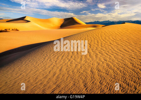 Sanddünen bei Sonnenaufgang. Mesquite Dünen im Death Valley, Kalifornien Stockfoto