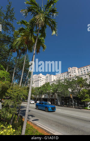 MIRACLE MILE CORAL GABLES FLORIDA USA Stockfoto