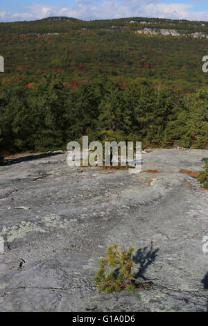 Baum und Felsen Shawangunk Mountains, The Gunks New York A Stockfoto
