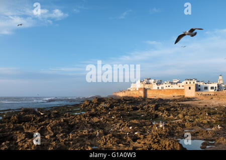 Blick auf den Wällen der Stadt Hafen von Essaouira, atlantische Küste von Marokko Stockfoto