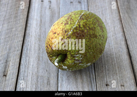 Frische Brotfrüchte oder auch bekannt als Artocarpus Altilis auf hölzernen Hintergrund Stockfoto