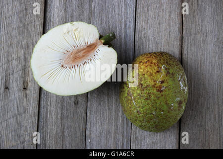 Frische Brotfrüchte oder auch bekannt als Artocarpus altilis Stockfoto