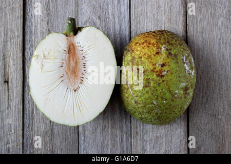 Frische Brotfrüchte oder auch bekannt als Artocarpus altilis Stockfoto