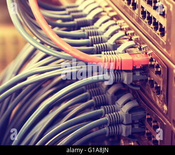 Netzwerk-Switch und Ethernet-Kabel, Daten-Center-Konzept. Stockfoto