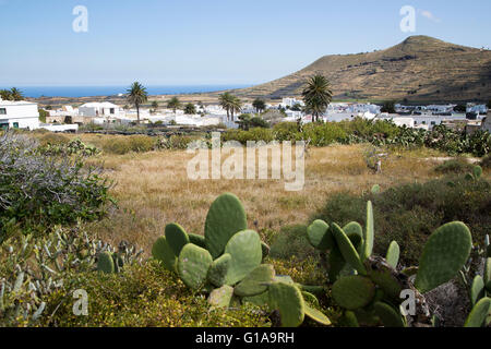 Blick über Kakteen und weiß getünchten Häusern, Dorf Maguez Lanzarote, Kanarische Inseln, Spanien Stockfoto