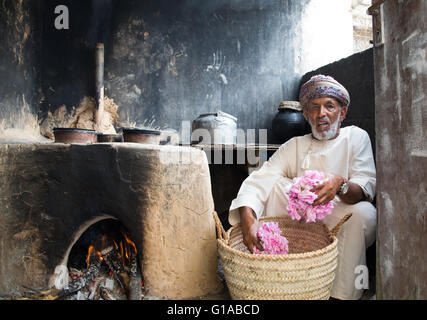 Omanische Greis mit Eimer voller Rosenblüten vor einem Ofen für die Herstellung von Rosenwasser verwendet Stockfoto