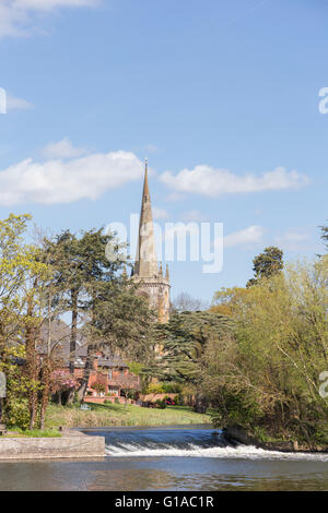 Blick über den Fluss Avon in Richtung Holy Trinity Church in Stratford bei Avon, Warwickshire, England, UK Stockfoto