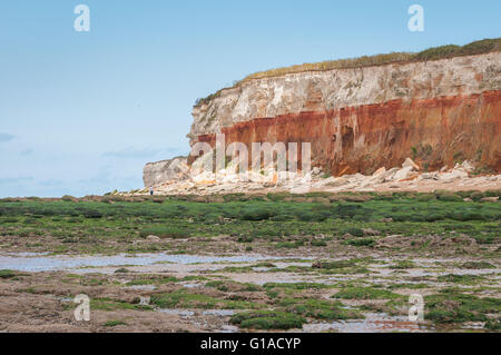 Seetang bedeckt Felsen am Strand von alten Hunstanton unter kreidezeitlichen Schichten von Hunstanton Klippen Stockfoto