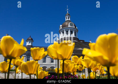 Rathaus in Kingston Ontario, am 11. Mai 2016. Stockfoto