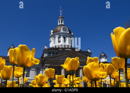 Rathaus in Kingston Ontario, am 11. Mai 2016. Stockfoto