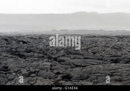 Eine große Lavafeld auf der big Island von Hawaii auf der östlichen Seite der Insel. Stockfoto