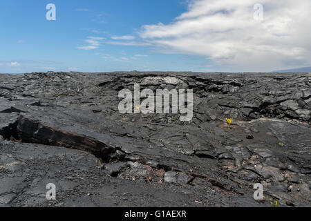 Eine große Lavafeld auf der big Island von Hawaii auf der östlichen Seite der Insel. Stockfoto