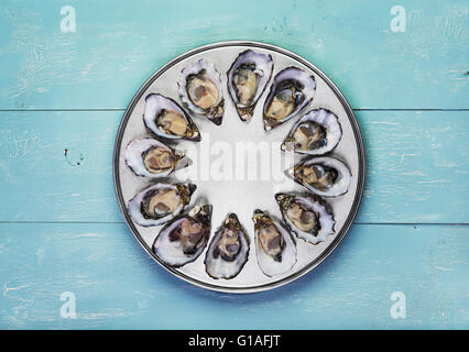 Dutzend frische Austern auf spezielle Koch- und metallischen Serviertablett Stockfoto