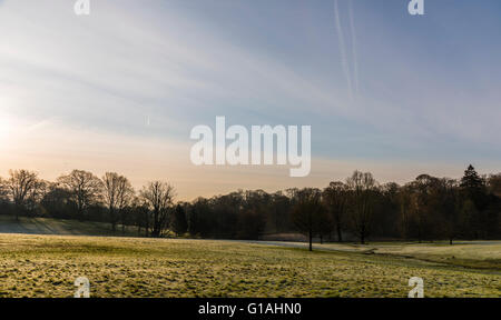 Die frühen Sonnenstrahlen eingefangen an einem frostigen Frühlingsmorgen in Hampstead Heath, London, UK. Stockfoto