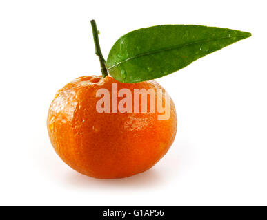 Ganze Clementine Frischobst mit Blatt - weißen Hintergrund ausschneiden Stockfoto