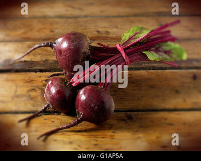 Nahaufnahme von frisch gegrabene ganze Beete (Garten Beet, Tabelle Rüben, rote Beete) und Stiele Stockfoto