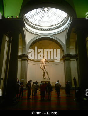 Statue des David von Michelangelo in der Galeria Dell Accademia, Florenz, Toskana, Italien Stockfoto