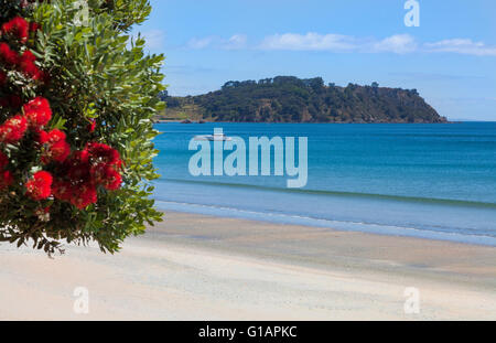 Oretangi Strand auf Waiheke Island Neuseeland Stockfoto