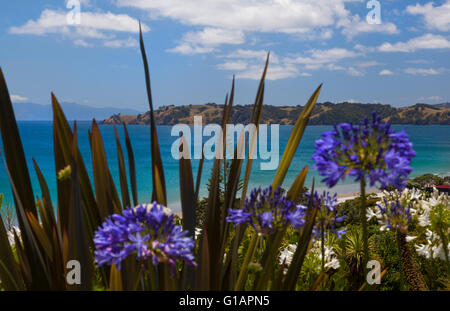 Oretangi Strand auf Waiheke Island Neuseeland Stockfoto