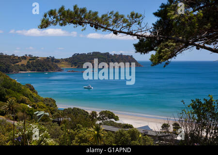 Oretangi Strand auf Waiheke Island Neuseeland Stockfoto