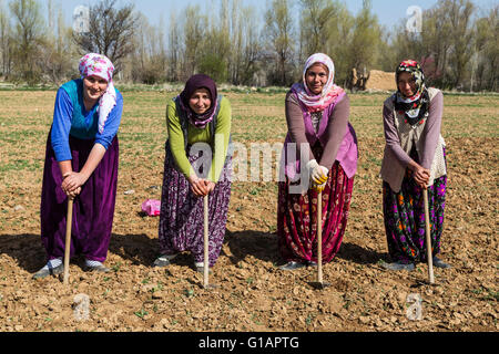 Frauen arbeiten im Bereich Rest stützte sich auf ihre Hacke in der Nähe von Konya, Türkei. Stockfoto