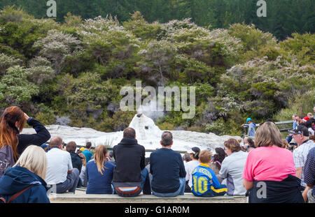 Touristen, die gerade Lady Knox Geyser durchbrechenden in Wai-O-Tapu Thermal Wonderland in Rotorua, Neuseeland Stockfoto