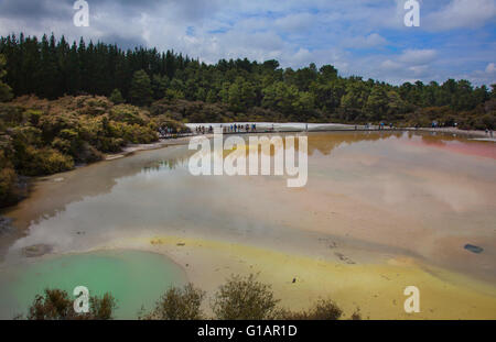 See Ngakoro und der Champagne Pool in Wai-O-Tapu Thermal Wonderland in Rotorua, Neuseeland Stockfoto