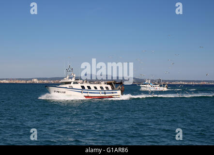 Angelboote/Fischerboote, die Rückkehr am Abend auf den Hafen von Palma De Mallorca, Balearische Inseln, Spanien. 3. Mai 2016 Stockfoto