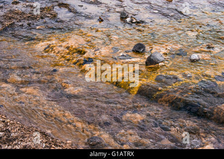 Wasserstrom auf einem Lavafeld in Island Stockfoto