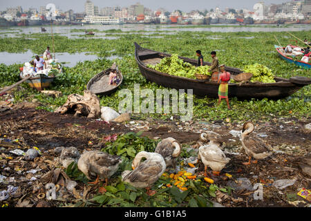 Dhaka, Dhaka, Bangladesh. 12. Mai 2016. Machen jedes Jahr während der Regenzeit Überschwemmungen durch Damm Zusammenbruch und Anstieg des Wasserspiegels Flusserosion 21. Februar 2011 Vola, Bangladesch. Bildnachweis: K M Asad/ZUMA Draht/Alamy Live-Nachrichten Stockfoto