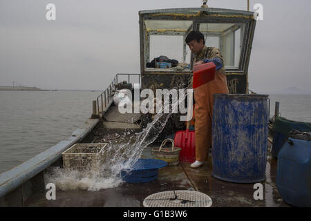 Xingcheng, Provinz Liaoning, China. 9. Mai 2016. Wie Chinas Küsten Fischereiressourcen in den letzten zwei Jahrzehnten verursacht durch Verschmutzung und Überfischung zunehmend erschöpft sind, haben steigende Kosten der Fischerei chinesische Fischer leben offensichtlich verändert. Viele Fischer haben ihre Boote zu verkaufen und das Fischen Leben komplett aufgeben. Das Bohai-Meer ist die Quelle der marinen Fischbestände im Norden von China an vor, aber jetzt, das Meer ist fast leer geworden und viele Arten ausgestorben. Wang Zhiqiang, fast 40 Jahre alten Fischer lebt in Xingcheng City in Liaoning provinc Stockfoto