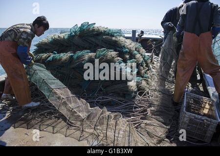 Xingcheng, Provinz Liaoning, China. 8. Mai 2016. Wie Chinas Küsten Fischereiressourcen in den letzten zwei Jahrzehnten verursacht durch Verschmutzung und Überfischung zunehmend erschöpft sind, haben steigende Kosten der Fischerei chinesische Fischer leben offensichtlich verändert. Viele Fischer haben ihre Boote zu verkaufen und das Fischen Leben komplett aufgeben. Das Bohai-Meer ist die Quelle der marinen Fischbestände im Norden von China an vor, aber jetzt, das Meer ist fast leer geworden und viele Arten ausgestorben. Wang Zhiqiang, fast 40 Jahre alten Fischer lebt in Xingcheng City in Liaoning provinc Stockfoto